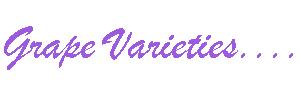 Wine grape varieties