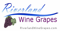 Riverland Wine Grapes