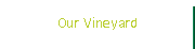 Our Vineyard